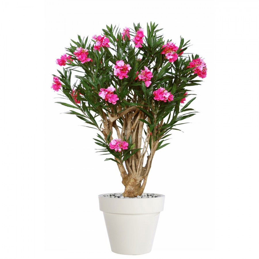 Planta semi-artificiala Ila, Oleander Robusta Pink - 180 cm